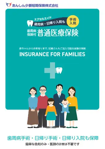 普通医療保険「エクセルエイド」パンフレット